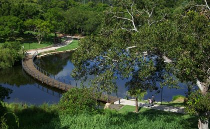 The lakes at UQ's St Lucia campus